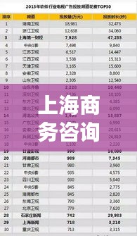 上海商務(wù)咨詢公司排行榜及影響力分析