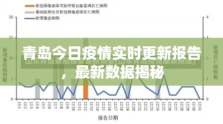 青島今日疫情實時更新報告，最新數(shù)據(jù)揭秘