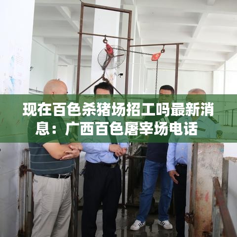 現在百色殺豬場招工嗎最新消息：廣西百色屠宰場電話 