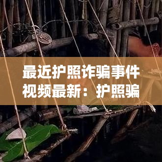 最近護照詐騙事件視頻最新：護照騙局去公安局一趟 