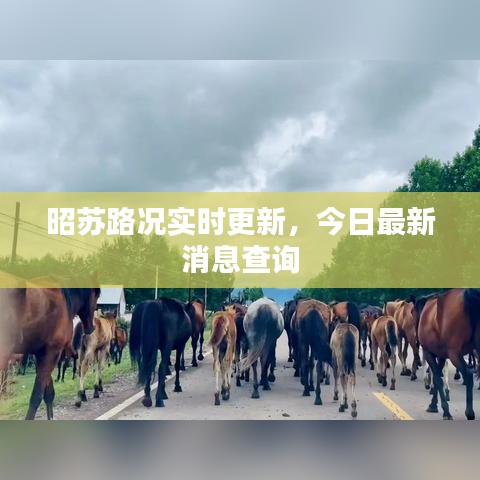 眉目如畫 第2頁