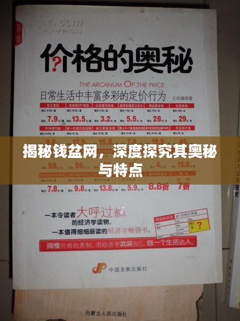 揭秘錢(qián)盆網(wǎng)，深度探究其奧秘與特點(diǎn)