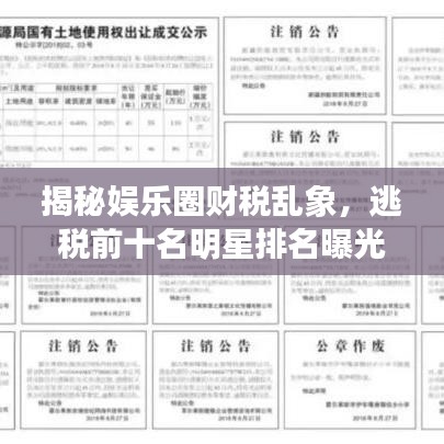 揭秘娛樂圈財(cái)稅亂象，逃稅前十名明星排名曝光！