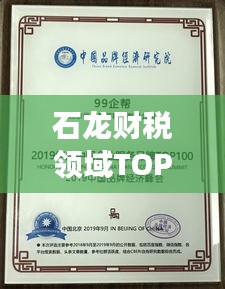 石龍財(cái)稅領(lǐng)域TOP10企業(yè)成功秘訣大揭秘！