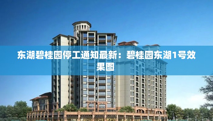 東湖碧桂園停工通知最新：碧桂園東湖1號效果圖 