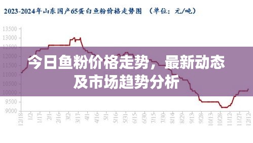今日魚粉價(jià)格走勢(shì)，最新動(dòng)態(tài)及市場(chǎng)趨勢(shì)分析