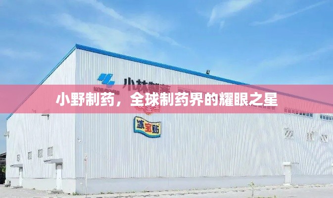小野制藥，全球制藥界的耀眼之星