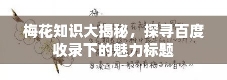 梅花知識大揭秘，探尋百度收錄下的魅力標題