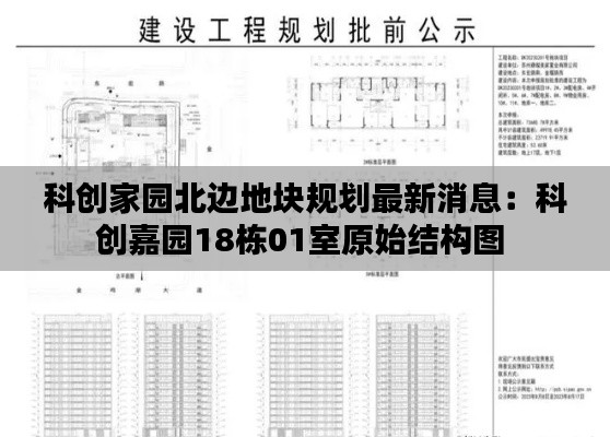 科創(chuàng)家園北邊地塊規(guī)劃最新消息：科創(chuàng)嘉園18棟01室原始結構圖 