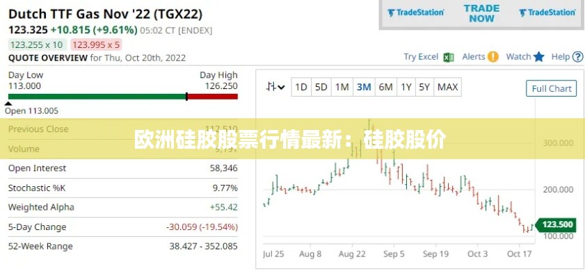 歐洲硅膠股票行情最新：硅膠股價 