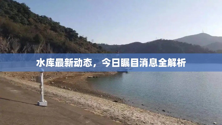 水庫最新動態(tài)，今日矚目消息全解析