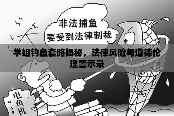 學(xué)姐釣魚套路揭秘，法律風(fēng)險(xiǎn)與道德倫理警示錄