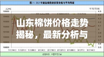 山東棉餅價格走勢揭秘，最新分析與市場動態(tài)