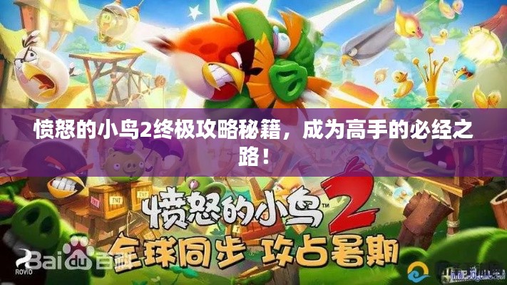 憤怒的小鳥2終極攻略秘籍，成為高手的必經(jīng)之路！