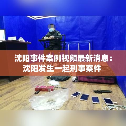 沈陽(yáng)事件案例視頻最新消息：沈陽(yáng)發(fā)生一起刑事案件 