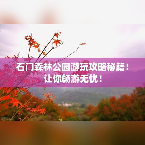 石門森林公園游玩攻略秘籍！讓你暢游無憂！