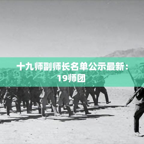 十九師副師長名單公示最新：19師團 
