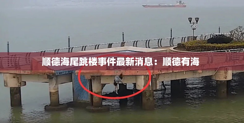 順德海尾跳樓事件最新消息：順德有海 