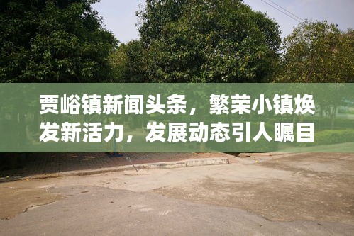賈峪鎮(zhèn)新聞頭條，繁榮小鎮(zhèn)煥發(fā)新活力，發(fā)展動態(tài)引人矚目