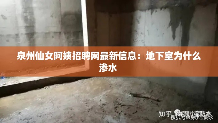 泉州仙女阿姨招聘網(wǎng)最新信息：地下室為什么滲水 