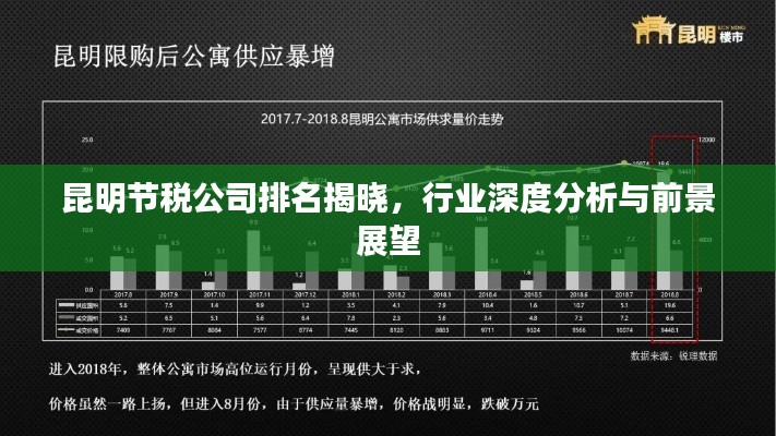 昆明節(jié)稅公司排名揭曉，行業(yè)深度分析與前景展望