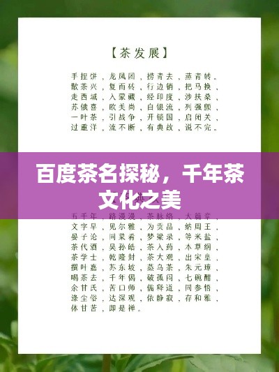 百度茶名探秘，千年茶文化之美