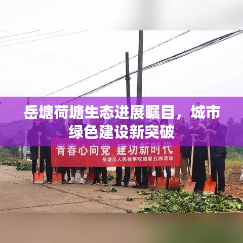 岳塘荷塘生態(tài)進展矚目，城市綠色建設(shè)新突破