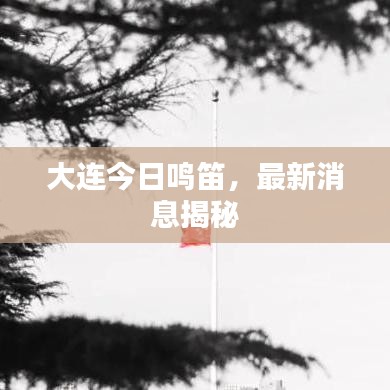 大連今日鳴笛，最新消息揭秘