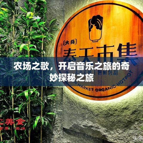 農(nóng)場之歌，開啟音樂之旅的奇妙探秘之旅