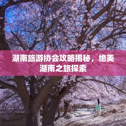 湖南旅游協(xié)會(huì)攻略揭秘，絕美湖南之旅探索