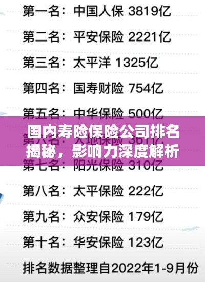 國內壽險保險公司排名揭秘，影響力深度解析！