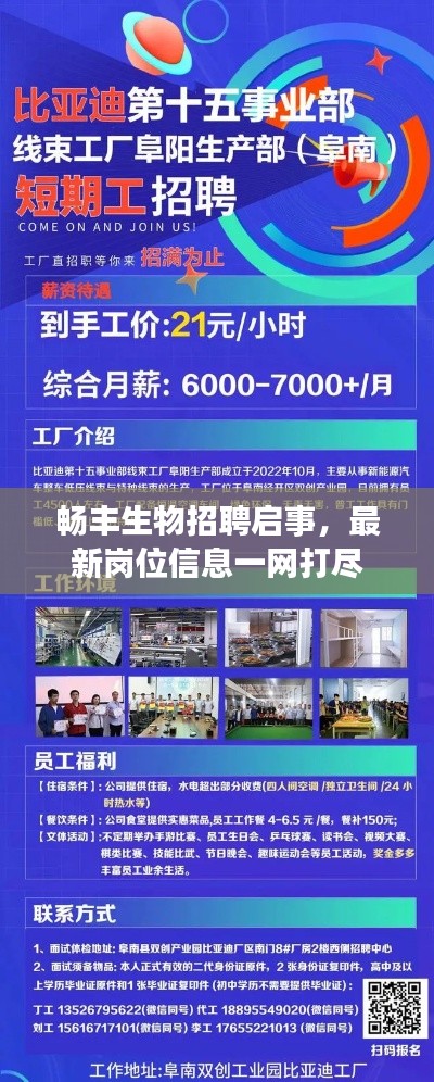 行百里者半九十 第2頁(yè)