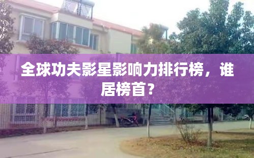 全球功夫影星影響力排行榜，誰(shuí)居榜首？