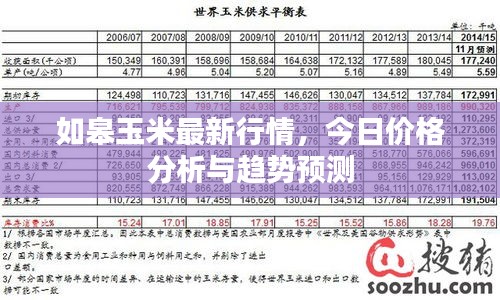 如皋玉米最新行情，今日價(jià)格分析與趨勢(shì)預(yù)測(cè)