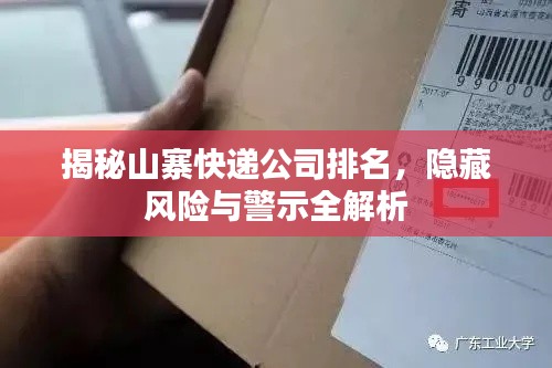 揭秘山寨快遞公司排名，隱藏風(fēng)險與警示全解析