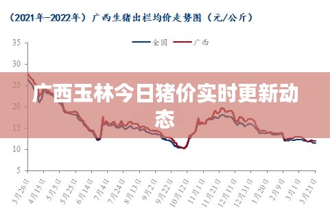 廣西玉林今日豬價(jià)實(shí)時(shí)更新動(dòng)態(tài)