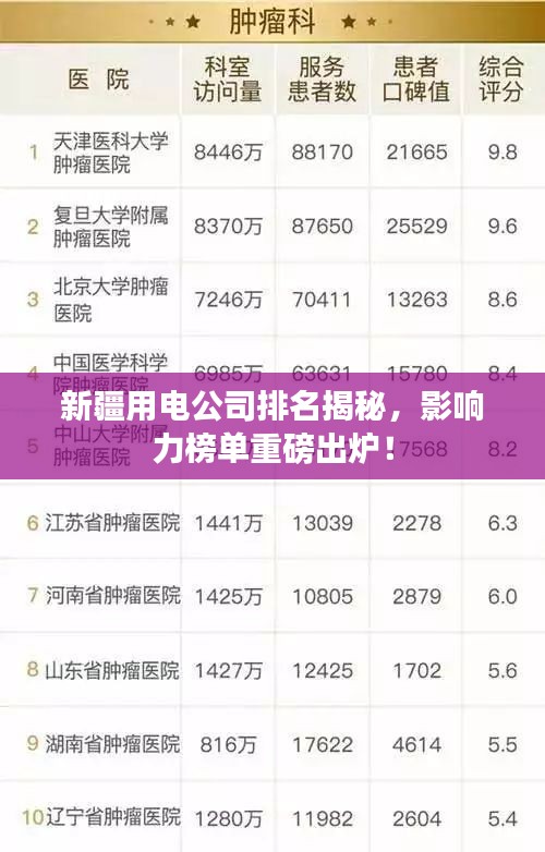 新疆用電公司排名揭秘，影響力榜單重磅出爐！