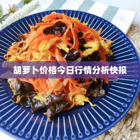 胡蘿卜價格今日行情分析快報