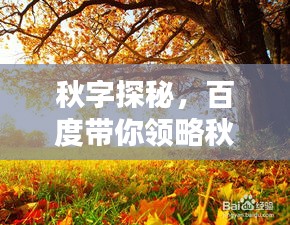秋字探秘，百度帶你領(lǐng)略秋之魅力