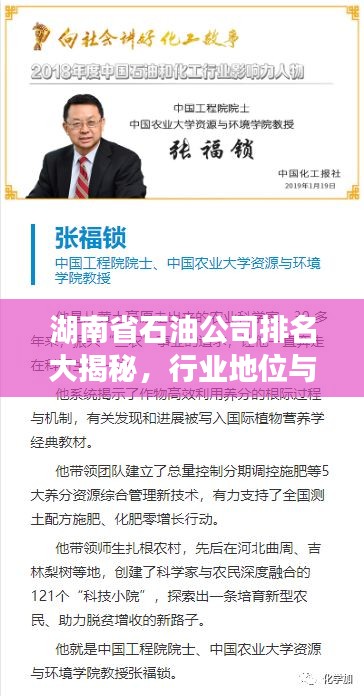 湖南省石油公司排名大揭秘，行業(yè)地位與影響力解析