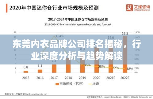 東莞內(nèi)衣品牌公司排名揭秘，行業(yè)深度分析與趨勢解讀