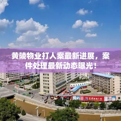 黃陵物業(yè)打人案最新進展，案件處理最新動態(tài)曝光！