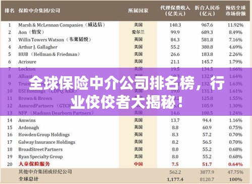 全球保險中介公司排名榜，行業(yè)佼佼者大揭秘！