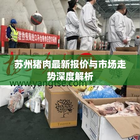 蘇州豬肉最新報價與市場走勢深度解析