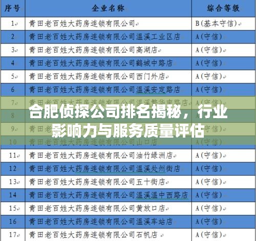 合肥偵探公司排名揭秘，行業(yè)影響力與服務(wù)質(zhì)量評估