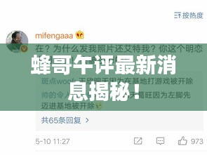 蜂哥午評(píng)最新消息揭秘！