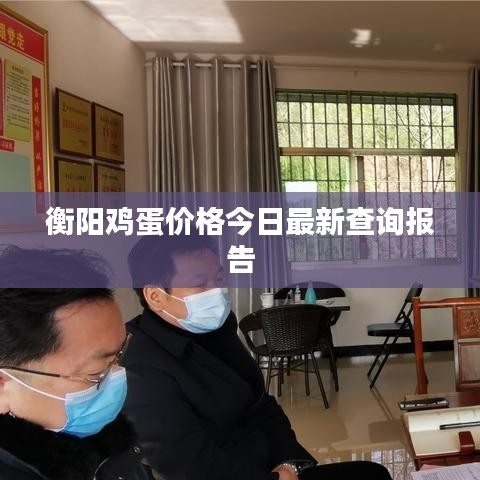 衡陽雞蛋價格今日最新查詢報(bào)告