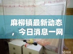 麻柳鎮(zhèn)最新動態(tài)，今日消息一網(wǎng)打盡！