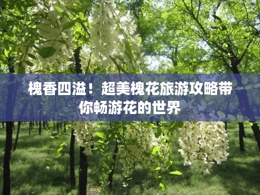 槐香四溢！超美槐花旅游攻略帶你暢游花的世界