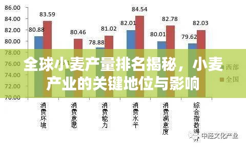 全球小麥產量排名揭秘，小麥產業(yè)的關鍵地位與影響